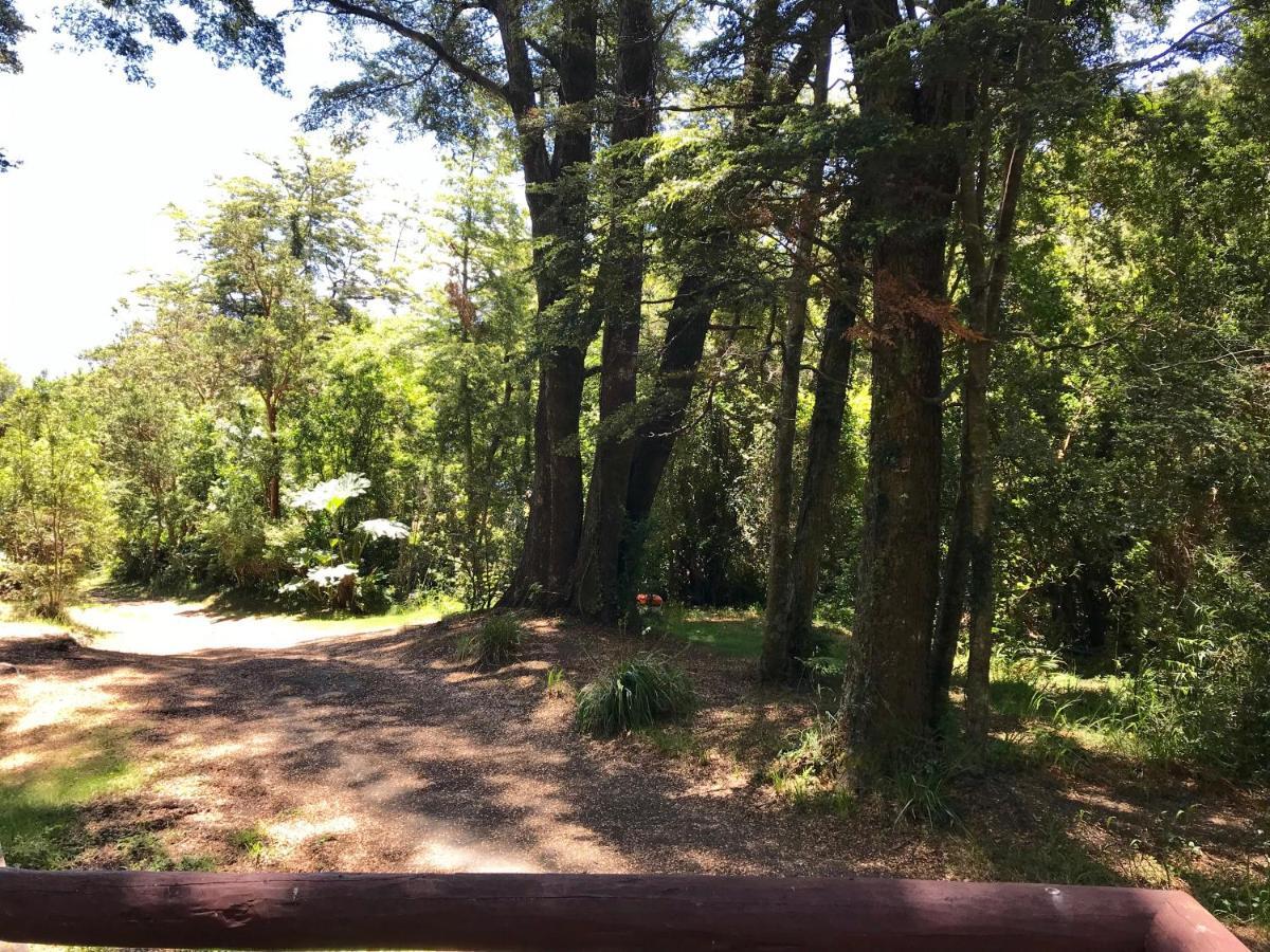 Yan Kee Way Lodge Bungalow Puerto Varas Eksteriør billede